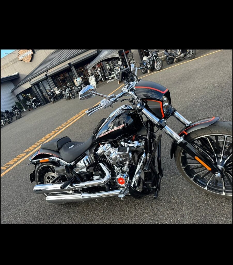 ブレイクアウトフェンダーカスタムペイント